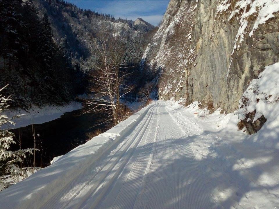 Schronisko Pttk Orlica Hotel Szczawnica Kültér fotó