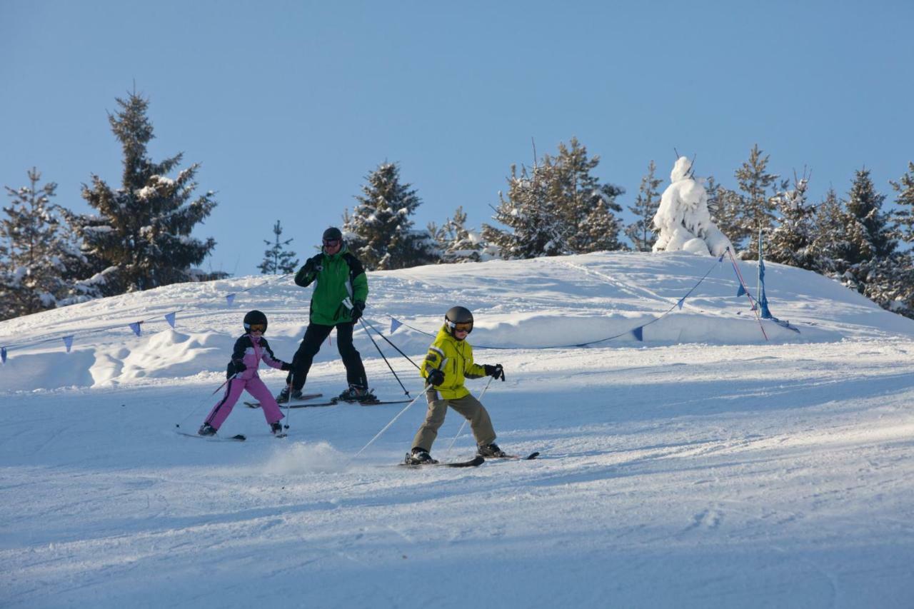 Schronisko Pttk Orlica Hotel Szczawnica Kültér fotó